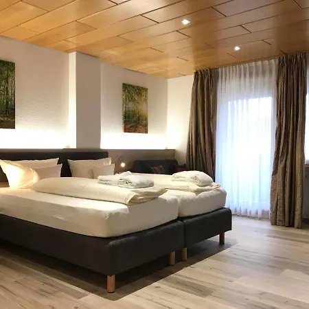 Hotel Wellnesshotel Sonnenhof & Sonnhalde Ühlingen-Birkendorf