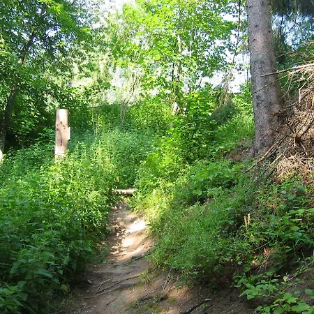 Hotel Wellnesshotel Sonnenhof & Sonnhalde Ühlingen-Birkendorf