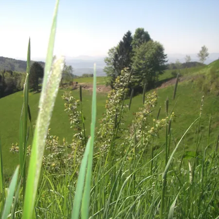 호텔 Wellnesshotel Sonnenhof & Sonnhalde 3*