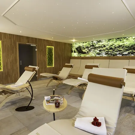 Wellnesshotel Sonnenhof&sonnhalde 3* Ühlingen-Birkendorf